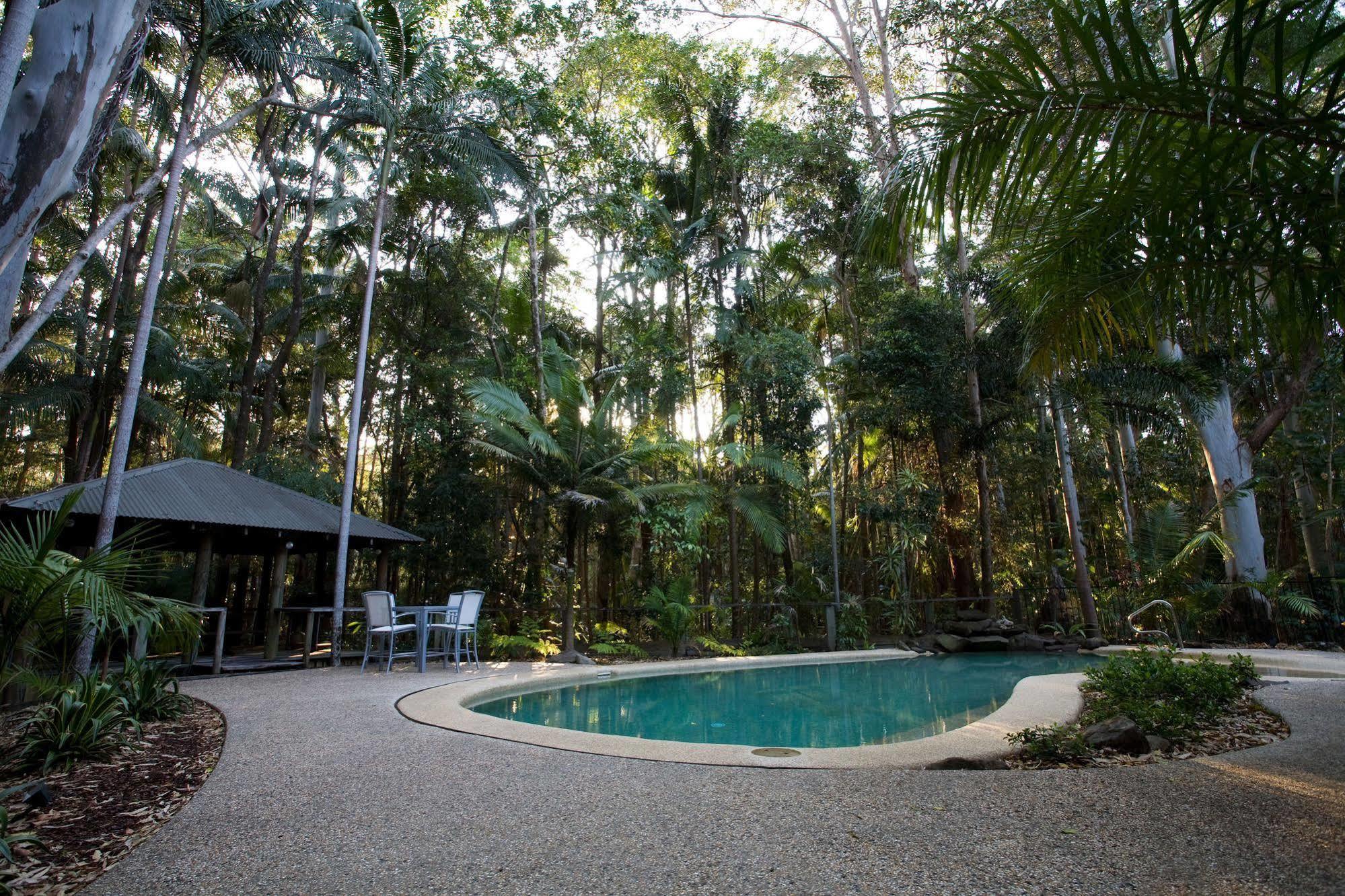 Amore On Buderim Rainforest Cabins Sunshine Coast Eksteriør bilde
